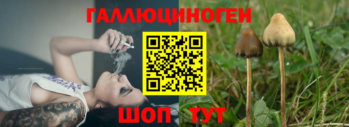 Галлюциногенные грибы MAGIC MUSHROOMS Йошкар-Ола